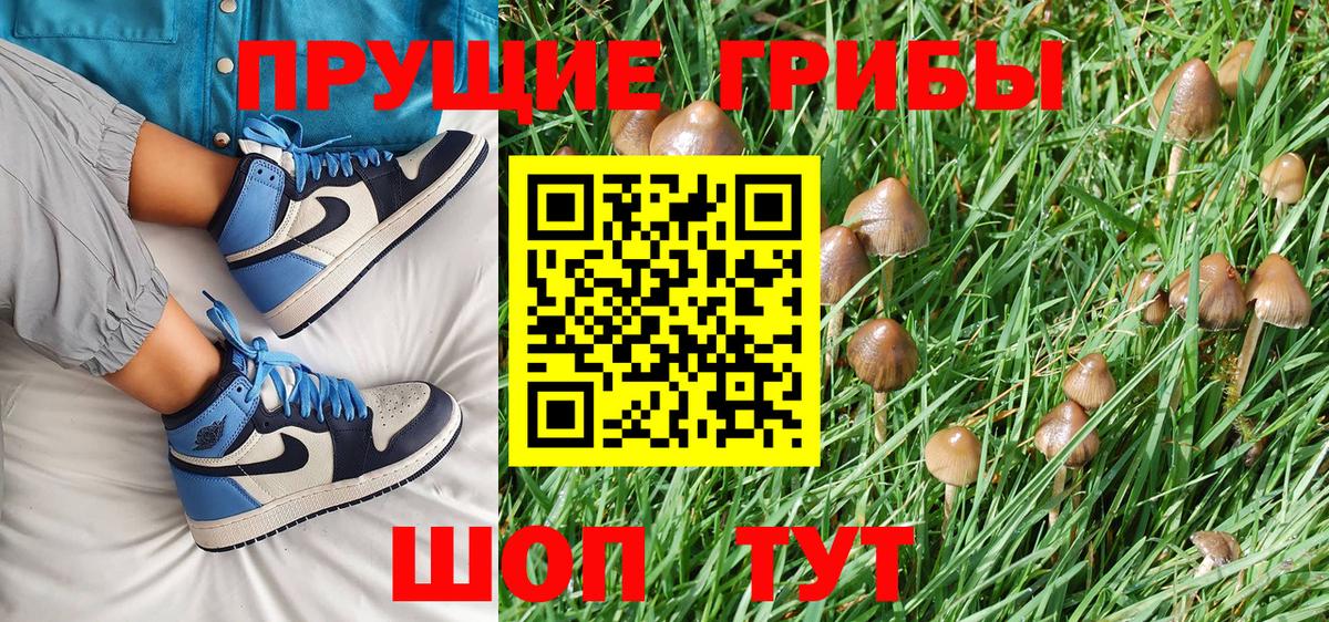 Псилоцибиновые грибы MAGIC MUSHROOMS  Вход с VPN  Рассказово 